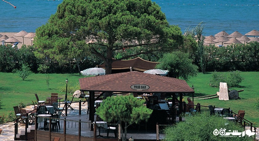 نمایی از بار تری در فضای سبز هتل